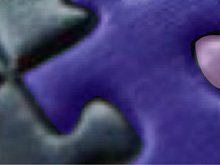 Фото новости