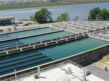 Фото новости