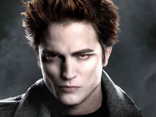 Фото новости