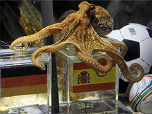 Фото новости