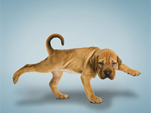 Фото новости