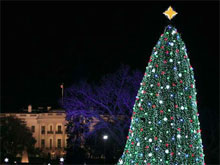 Фото новости