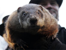 Фото новости