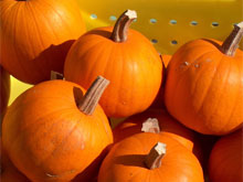 Фото новости